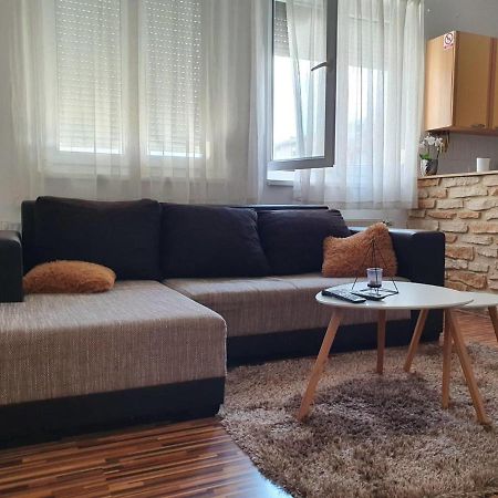 Apartment Laura & Lucija โอซีเยก ภายนอก รูปภาพ